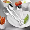 Set de maletín de cubiertos Esmeyer SOPHIE 60 uds. Acero inoxidable