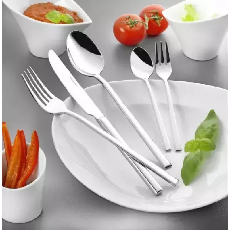Set de maletín de cubiertos Esmeyer SOPHIE 60 uds. Acero inoxidable