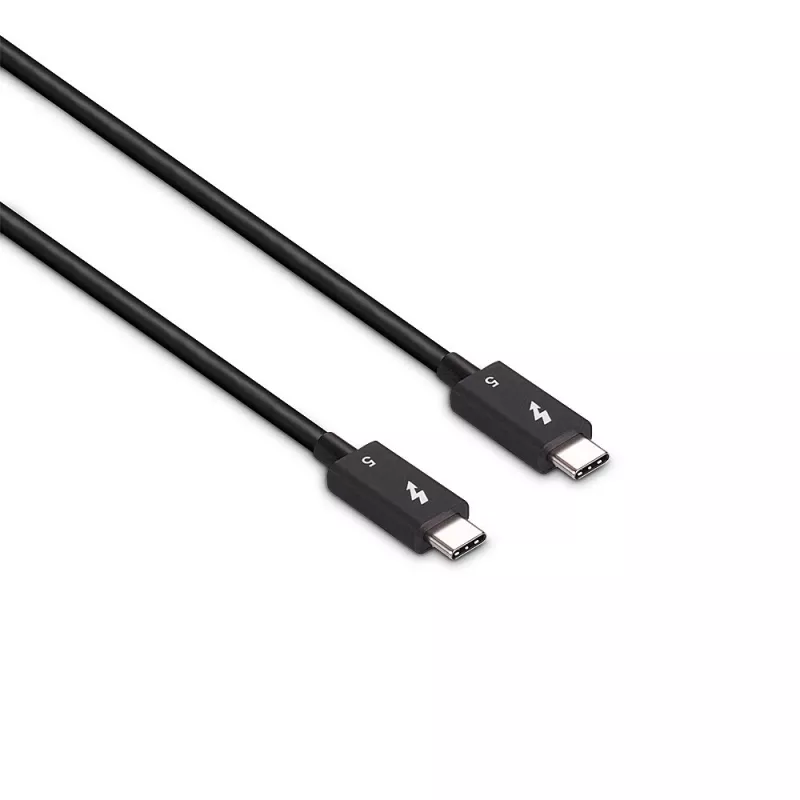 Lindy Cable Thunderbolt 5 de 1 m, 80 Gbit/s, pasivo, conector macho, conector macho, 1 m, 80 Gbit/s, Negro, Níquel