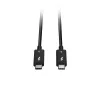 Lindy Cable Thunderbolt 5 de 1 m, 80 Gbit/s, pasivo, conector macho, conector macho, 1 m, 80 Gbit/s, Negro, Níquel