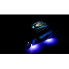 Amewi 21133 Drift Sport Muscle Car coche RC, 4WD, 1:24, RTR, azul, 6+