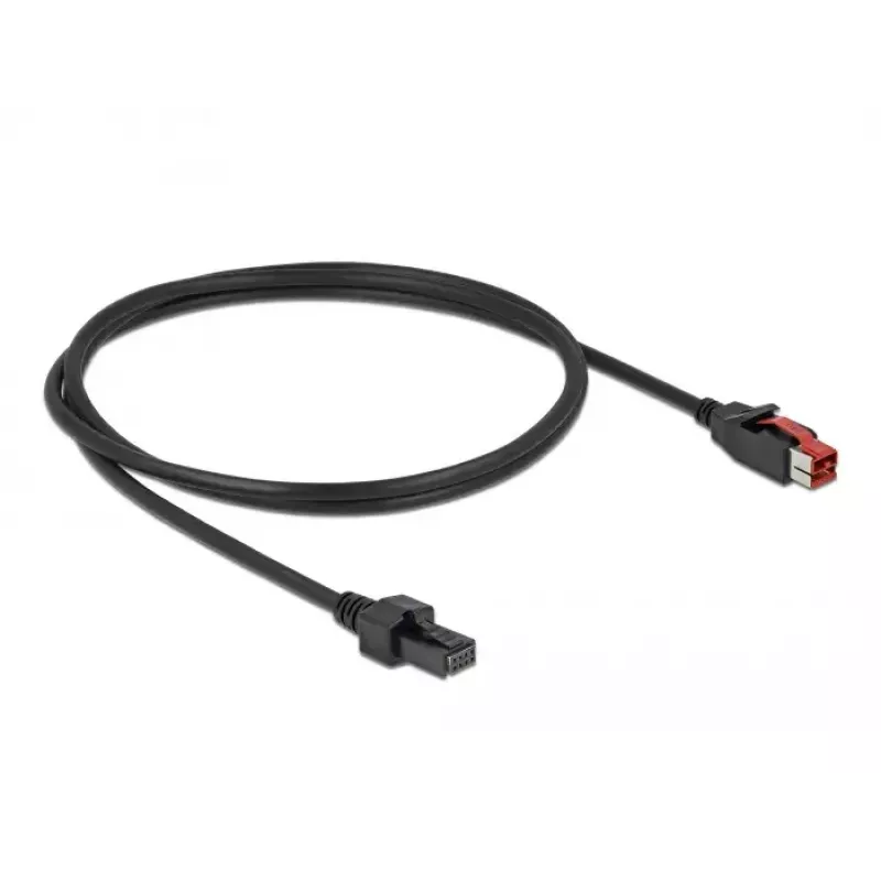 Cable PoweredUSB DeLOCK 85950 24 V a 2 x conector macho 4 pines 1 m