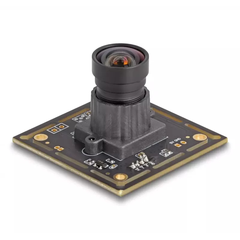 Webcam DeLOCK 12072 2,1 MP 1920 x 1080 USB 2.0 Negro