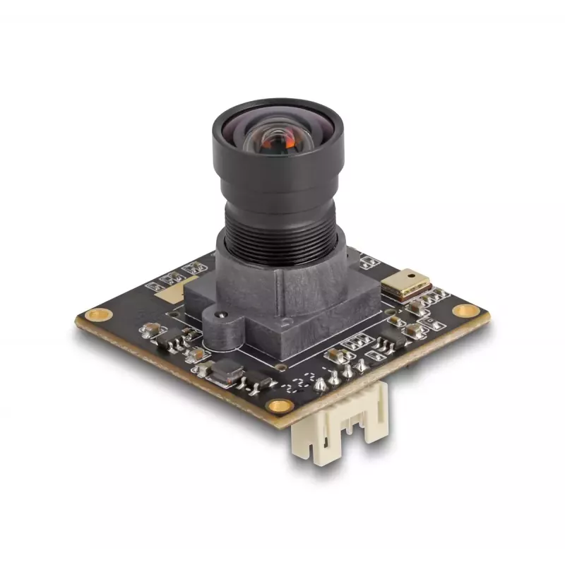 DeLOCK Webcam 12074 2,1 MP 1920 x 1080 USB 2.0 Negro