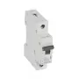 Legrand RX3 interruptor automático, interruptor automático, tipo B, 1