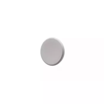 Imán para pizarra de cristal Legamaster gris cálido, metal, 30×7 mm, pack de 5