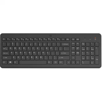 HP Wireless con 2.4 teclado Home RF Wireless negro