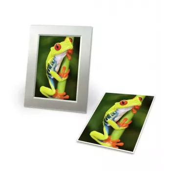 Papel fotográfico Avery C2549-20P Brillo