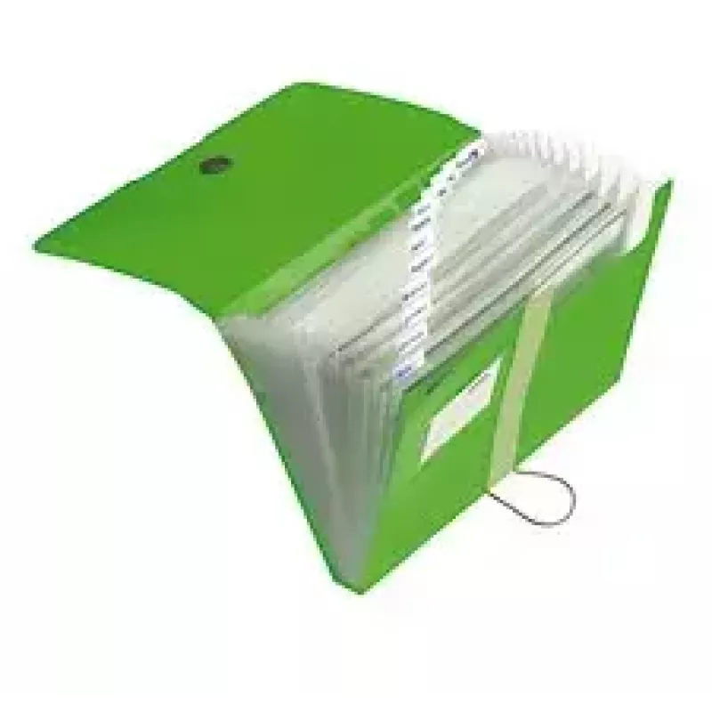 Archivador Herlitz 11209517 verde