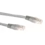 ACT Gris 0,25 metros LSZH U/UTP CAT6A cable de red con conectores macho RJ45