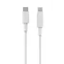 Cable Lightning 2GO 795848 1 m USB C a Lightning blanco