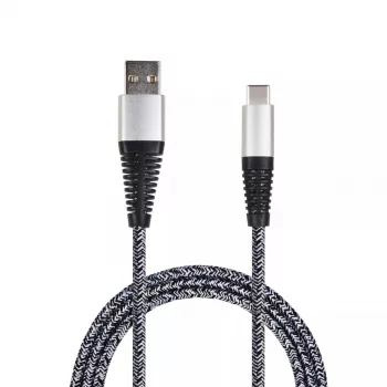 Cable USB 2GO 795953 USB 3.2 Gen 1 1 m USB B USB C plata