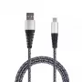 Cable USB 2GO 795953 USB 3.2 Gen 1 1 m USB B USB C plata