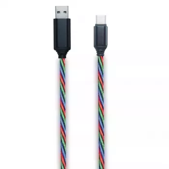 Cable USB 2GO 797146 1 m USB B USB C multicolor