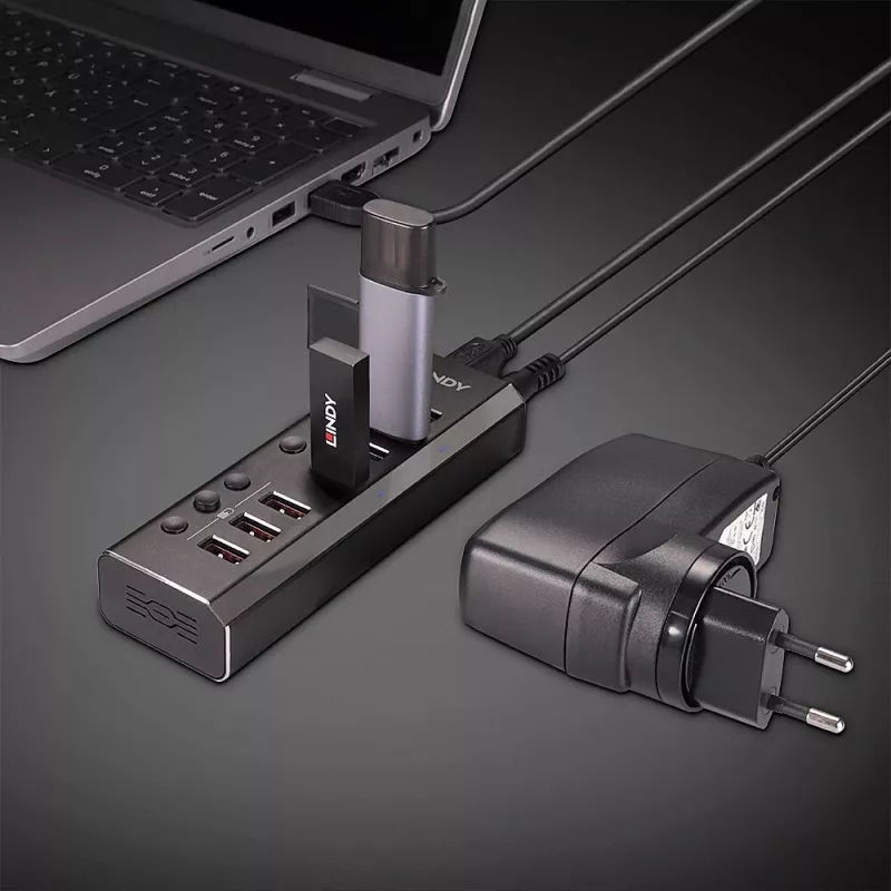 Hub USB 3.0 Lindy de 4 puertos con 3 conexiones Quick Charge 3.0