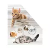 Recopilador de revistas HERMA gatos A4 amarillo