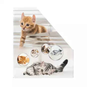 Recopilador de revistas HERMA gatos A4 amarillo