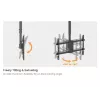 Soporte de techo para dos pantallas EQUIP 81,3 cm – 152,4 cm (32 pulgadas–60 pulgadas) (VESA 200x200–600x400, máx. 80 kg, orientable ±180°), negro