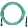 Cable de fibra óptica BlueOptics CBX-STC012BPF-MXXN-MXXN-020M-MTP OM4 20m turquesa