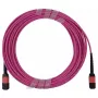 Cable de fibra óptica BlueOptics CBX-STC012BPF-MXXN-MXXN-003M-BO MTP OM4 3 m rosa