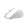 Trust Nito Ratón Universal Diestro RF Wireless Óptico 2200 DPI
