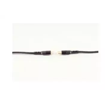 Cable USB Type-C ShiverPeaks BS20-74025 1 m Mini-DIN 8 pines negro