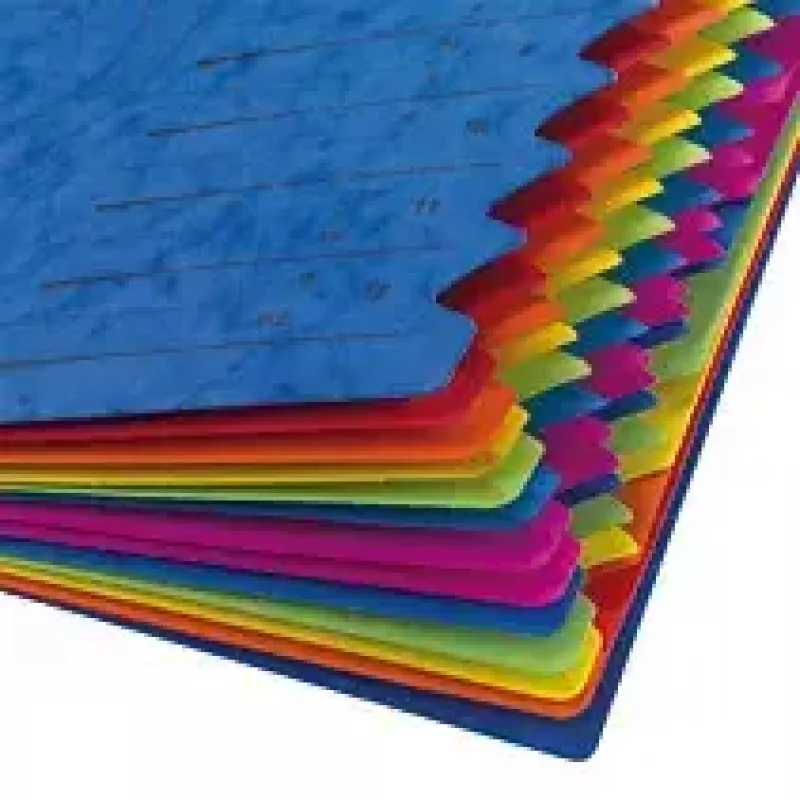 Herlitz 5001128 clasificador A4, 12 compartimentos, azul, 2 gomas elásticas