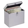 Hama 00181435 maletín de almacenamiento Microgroove para discos de vinilo plateado
