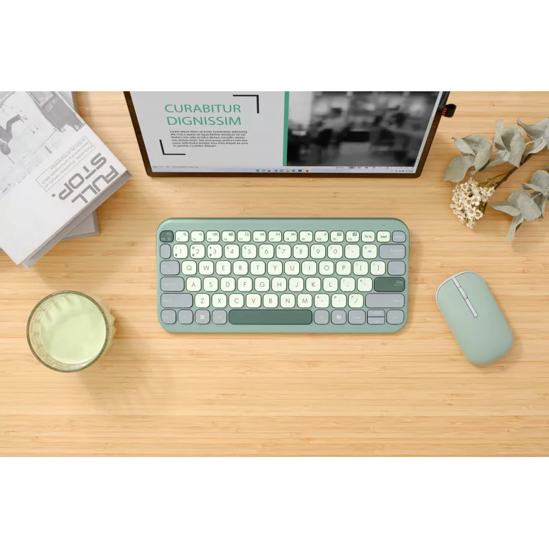 ASUS Marshmallow KW100 90XB0880-BKB200 teclado, distribución alemana QWERTZ, mecanismo de tijera, tecla Copilot, verde