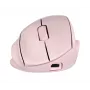 Ratón HP Tilt Ergo PNK MSE 720M EMEA-INTL EN L