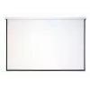 Ricoh PJ WUL5860 4000 lúmenes ANSI DLP WUXGA (1920x1200) blanco