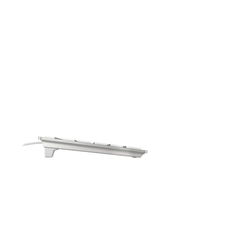 CHERRY KC 6000 slim FOR MAC teclado oficina USB AZERTY francés plateado