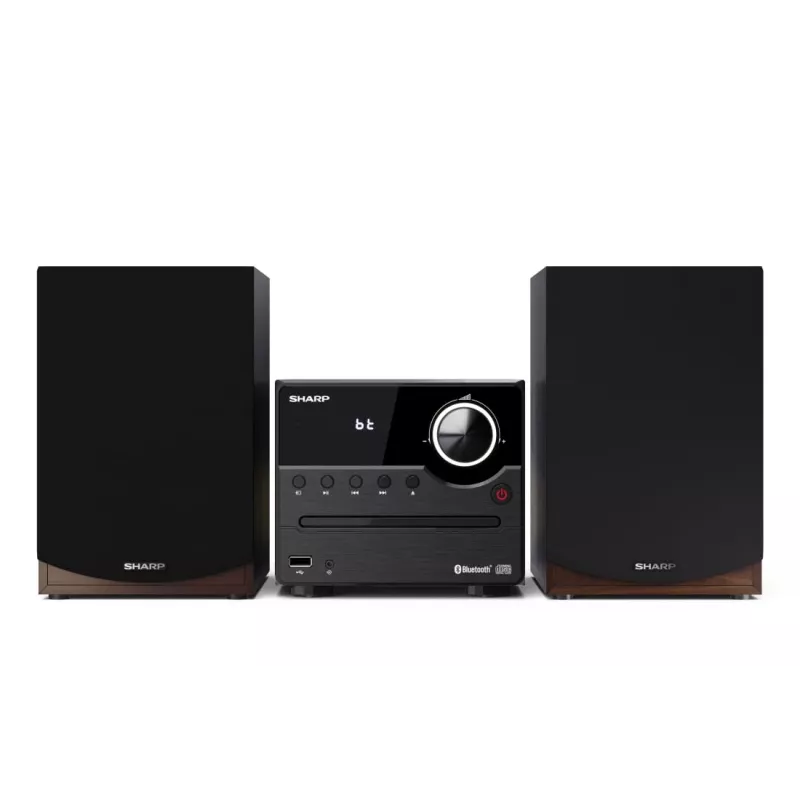 Sharp XL-B512(BR) Sistema de audio doméstico Microcadena 45 W Marrón