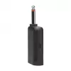 Set de micrófonos JBL Wireless Two Microphone System