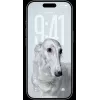 Smartphone Apple iPhone 17 Pro Max — A19 Pro, 6,9 pulgadas (17,5 cm) pantalla, 2 TB, cámara triple 48 MP, Dual SIM, IP68, 233 g, Azul