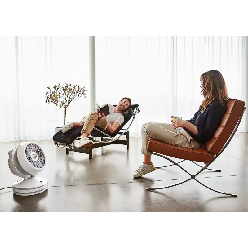 Rowenta HQ7152 Interior Blanco, Plata Ventilador calefactor eléctrico