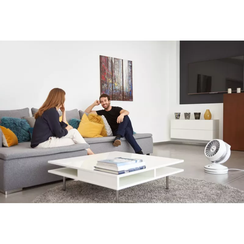 Rowenta HQ7152 Interior Blanco, Plata Ventilador calefactor eléctrico