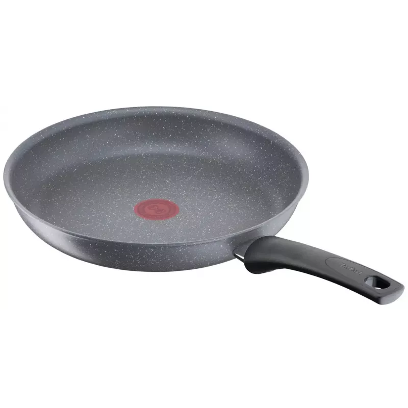 Sartén multiusos Tefal Healthy Chef G15004 Redonda 24 cm Gris