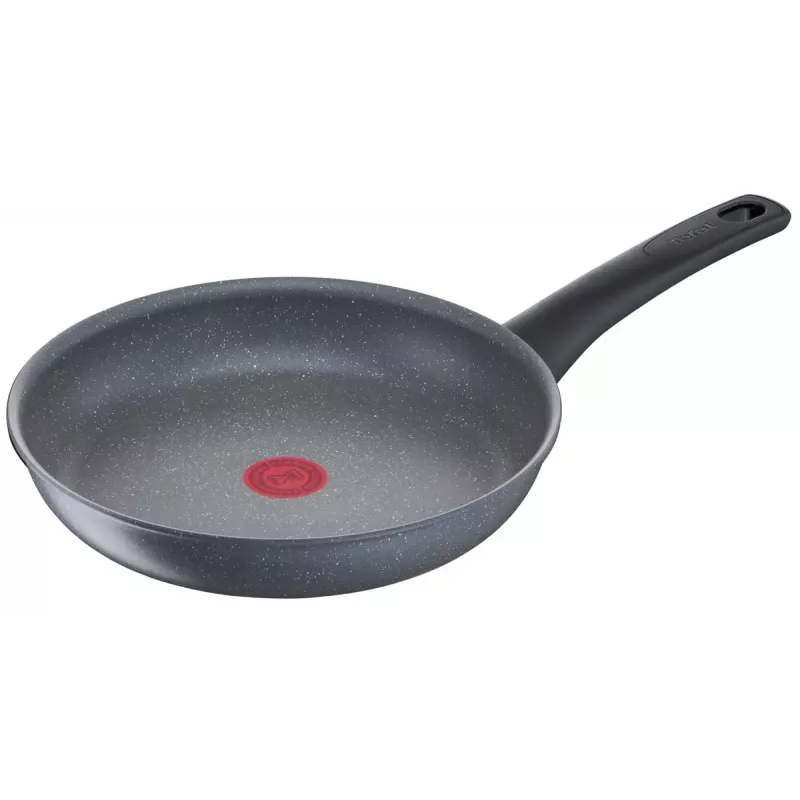 Sartén multiusos Tefal Healthy Chef G15004 Redonda 24 cm Gris