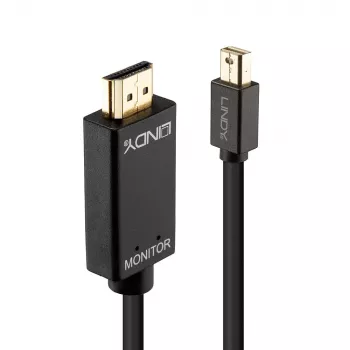 Lindy 33365 Cable SATA, alimentación de 4 pines + SATA de 7 pines a SATA de 22 pines, 0,5 m, Rojo