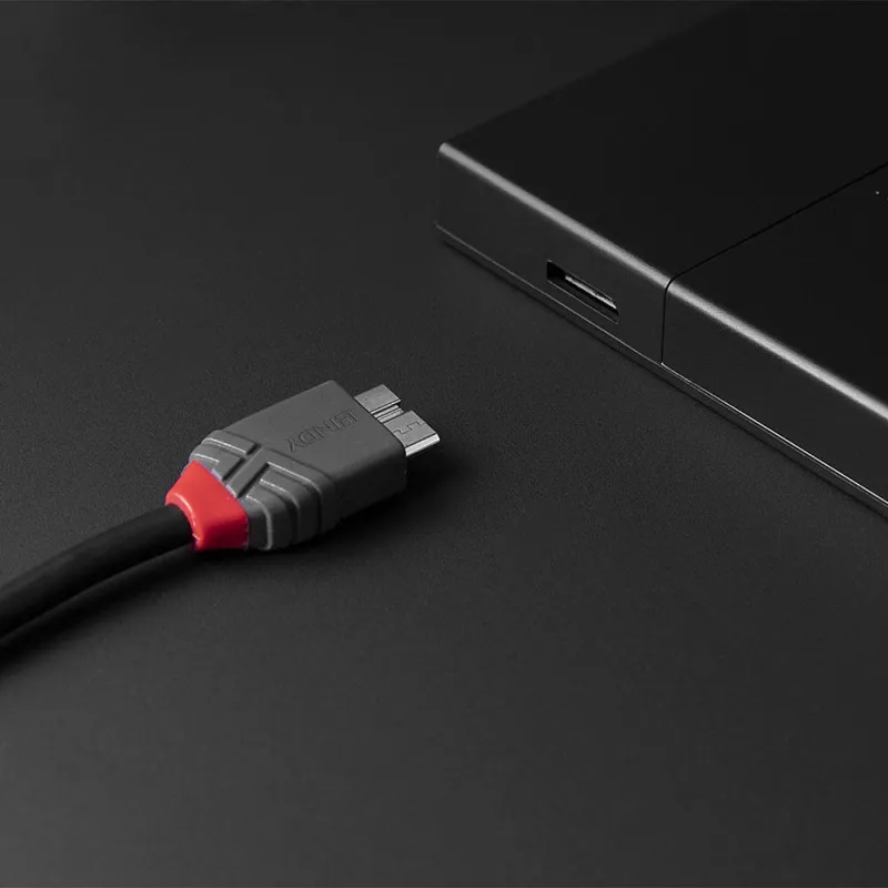 Lindy Cable USB 3.2 Type-C a Micro-B de 2 m, Anthra Line, 2 m, USB C, Micro-USB B, USB 3.2 Gen 1 (3.1 Gen 1), negro