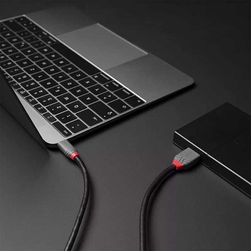 Lindy Cable USB 3.2 Type-C a Micro-B de 2 m, Anthra Line, 2 m, USB C, Micro-USB B, USB 3.2 Gen 1 (3.1 Gen 1), negro