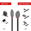 Lindy Cable USB 3.2 Type-C a Micro-B de 2 m, Anthra Line, 2 m, USB C, Micro-USB B, USB 3.2 Gen 1 (3.1 Gen 1), negro