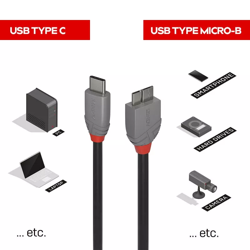 Lindy Cable USB 3.2 Type-C a Micro-B de 2 m, Anthra Line, 2 m, USB C, Micro-USB B, USB 3.2 Gen 1 (3.1 Gen 1), negro