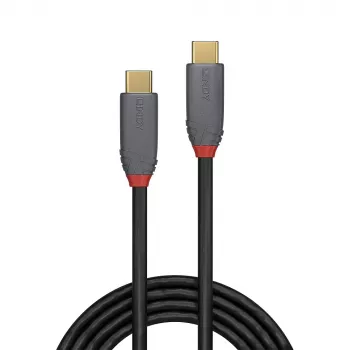 Lindy 36904 Cable USB USB 3.2 Gen 2 (3.1 Gen 2) 3 m USB C negro