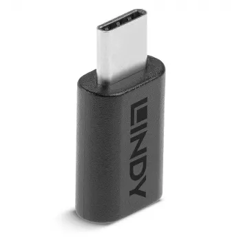 Lindy Adaptador USB 3.2 Type-C a C, USB 3.2 Type-C, USB 3.2 Type-C, negro