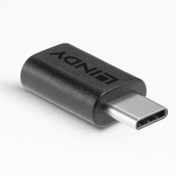 Lindy Adaptador USB 3.2 Type-C a C, USB 3.2 Type-C, USB 3.2 Type-C, negro