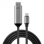 Lindy 43504 Adaptador de cable de vídeo 2 m USB Type-C DisplayPort gris