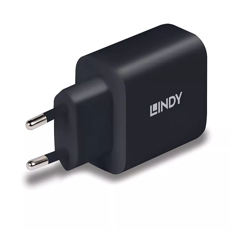 Lindy 73426 cargador móvil universal negro AC carga rápida interior