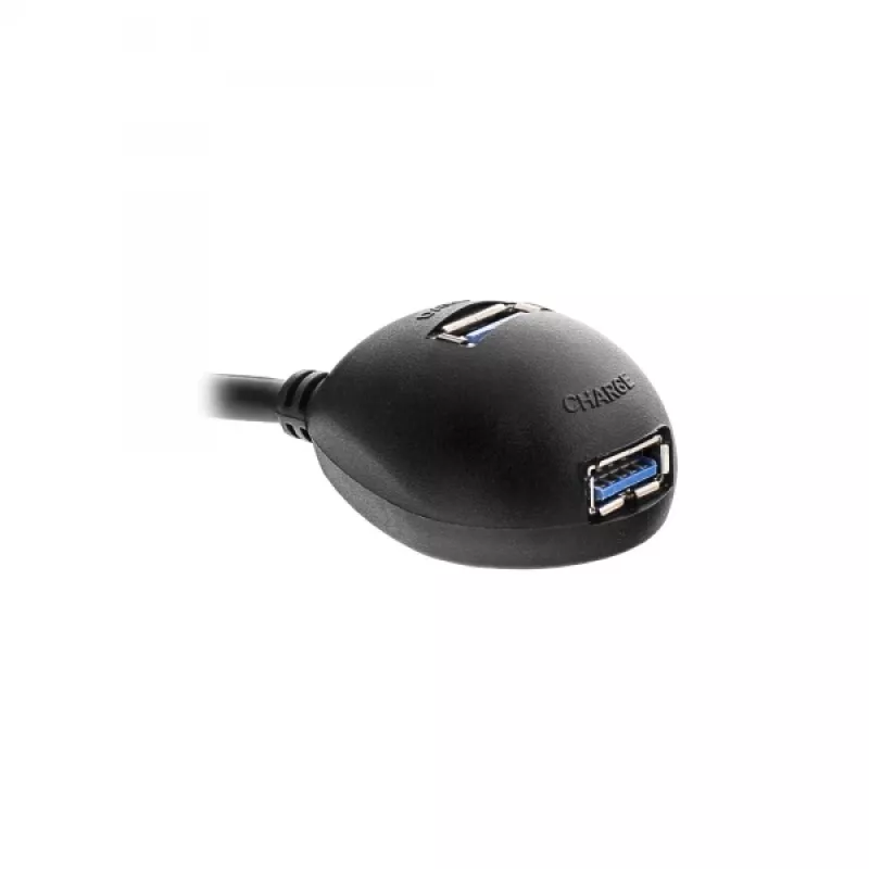 Cable InLine USB 3.2 Gen.1 USB Type-A macho / A hembra + alimentación, con soporte, negro, 2 m